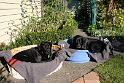 enjoying morning sunshine
